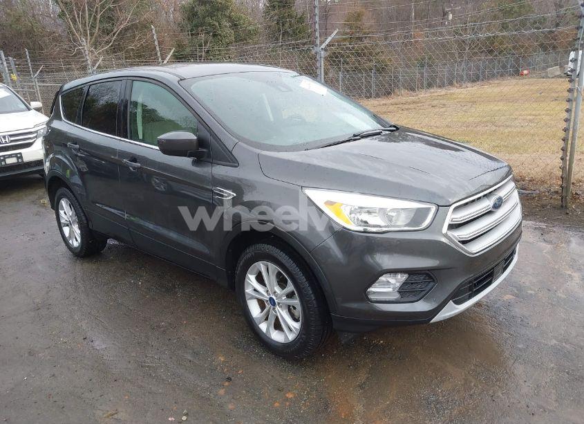 2019 Ford Escape SE (VIN 1FMCU9GD8KUC33968) main photo