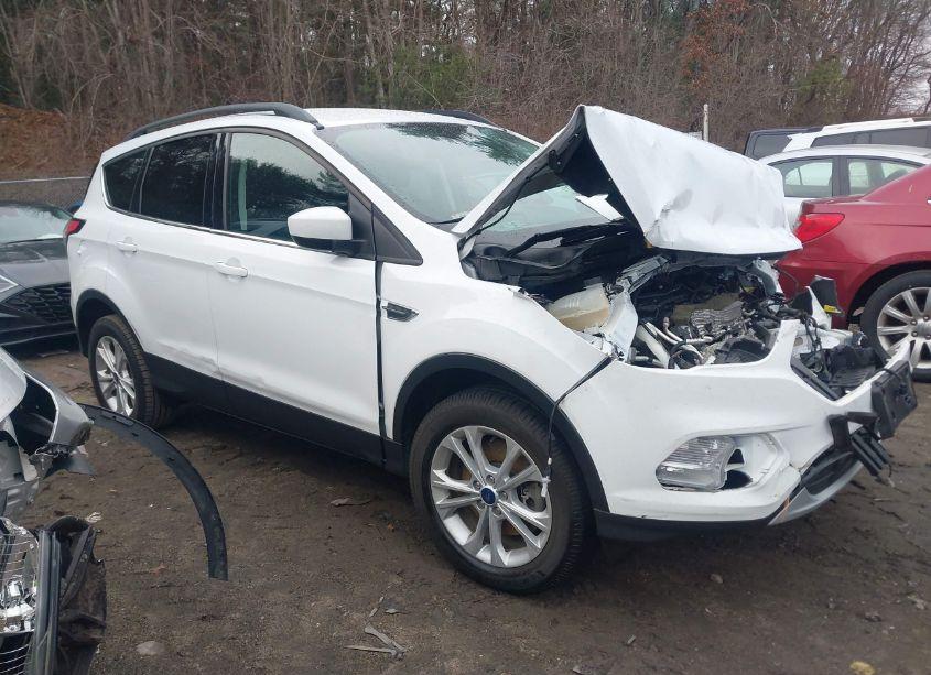 2017 Ford Escape SE (VIN 1FMCU9GD9HUE61373) main photo
