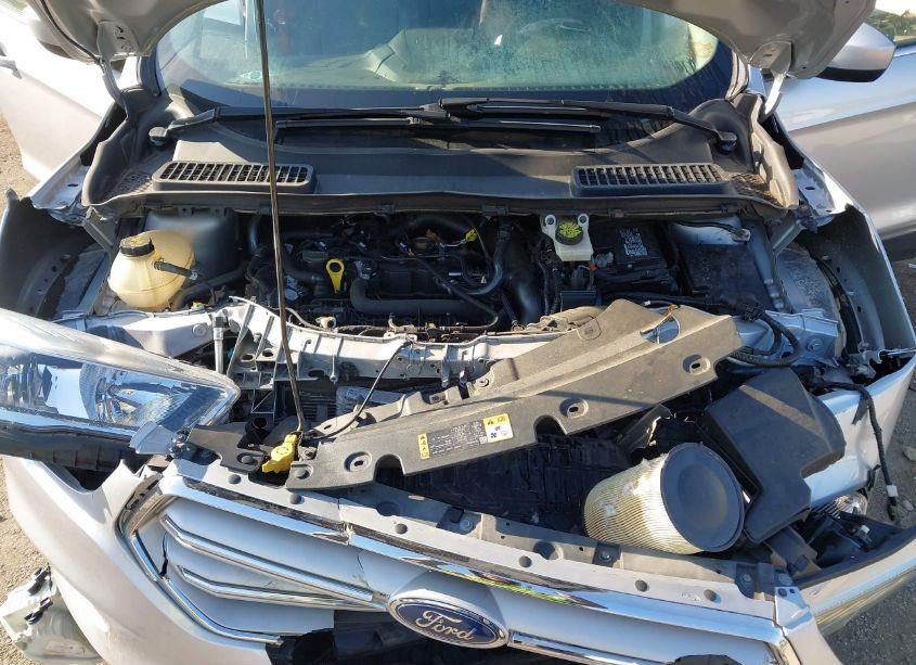 Photo 10 of 2019 Ford Escape SE (VIN 1FMCU9GD9KUA08233)