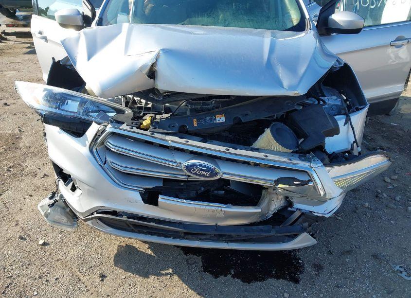 Photo 6 of 2019 Ford Escape SE (VIN 1FMCU9GD9KUA08233)