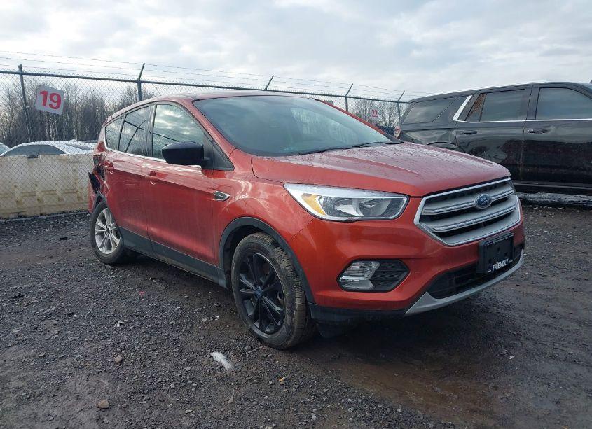 2019 Ford Escape SE (VIN 1FMCU9GD9KUA37604) main photo