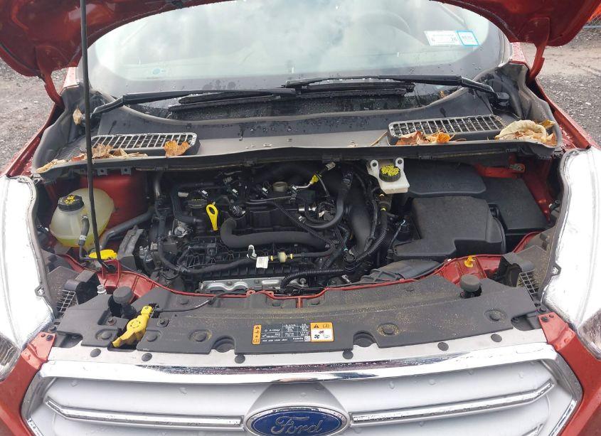 Photo 10 of 2019 Ford Escape SE (VIN 1FMCU9GD9KUA37604)