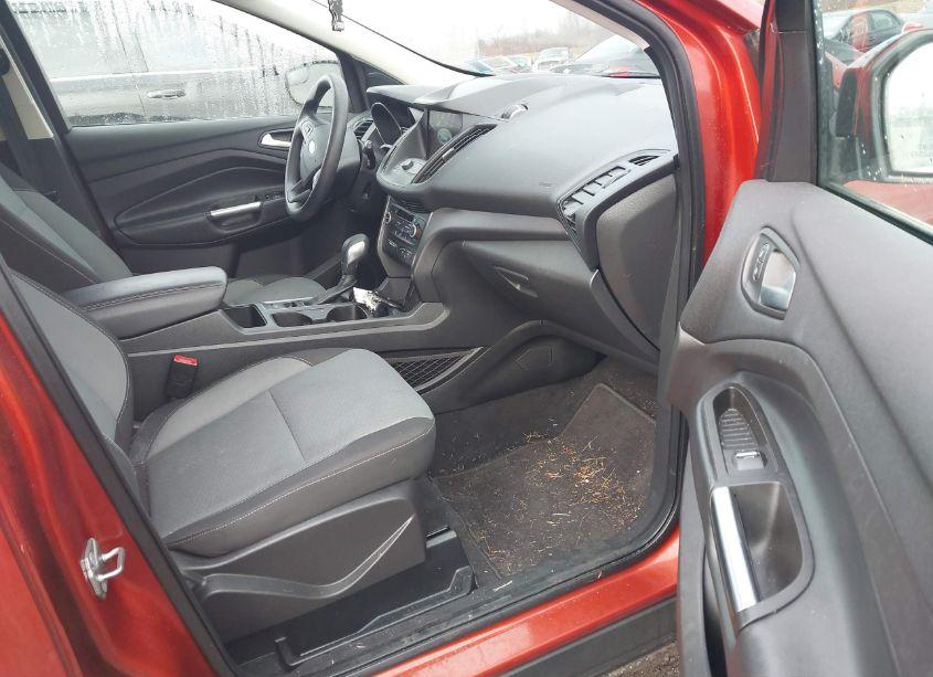 Photo 5 of 2019 Ford Escape SE (VIN 1FMCU9GD9KUA37604)