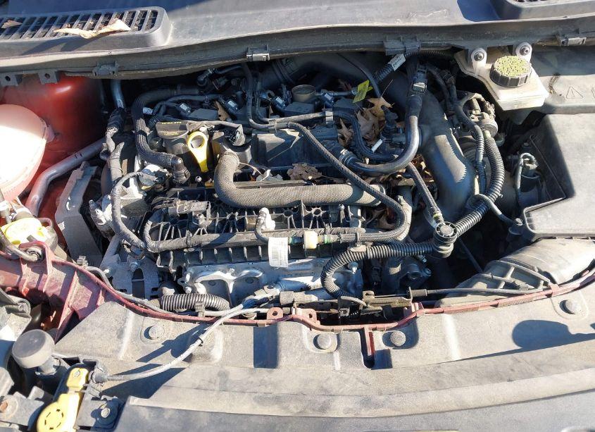 Photo 9 of 2019 Ford Escape SE (VIN 1FMCU9GD9KUA48795)