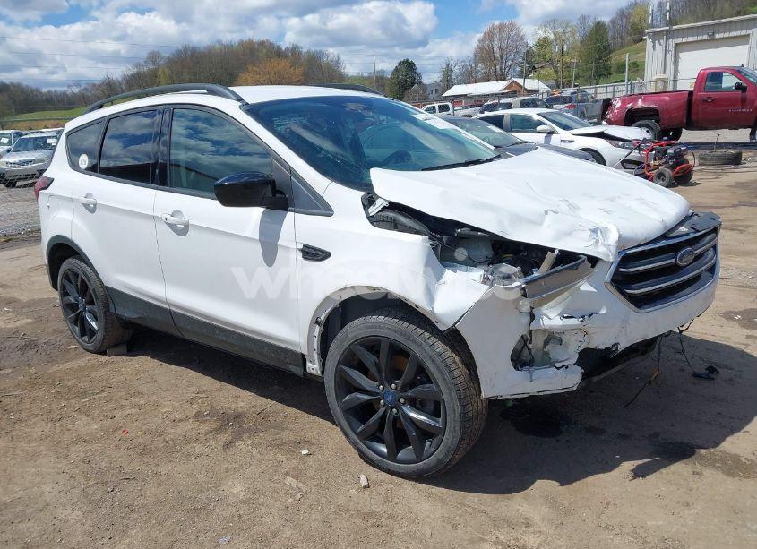 2019 Ford Escape SE (VIN 1FMCU9GD9KUA95020) main photo