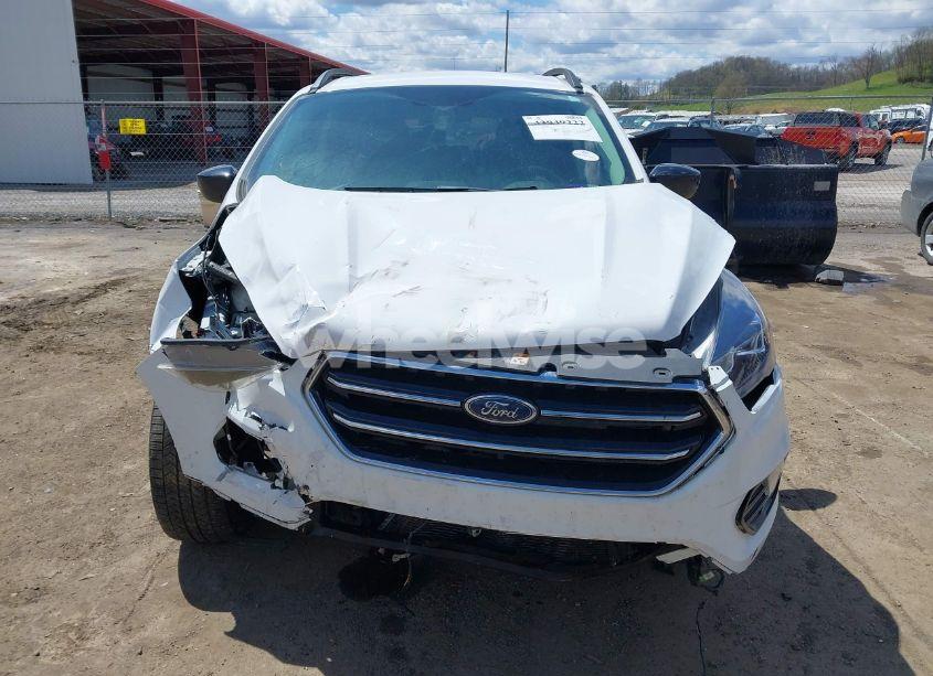 Photo 12 of 2019 Ford Escape SE (VIN 1FMCU9GD9KUA95020)