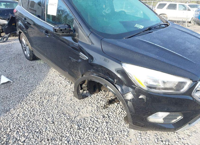 Photo 6 of 2019 Ford Escape SE (VIN 1FMCU9GD9KUB10339)