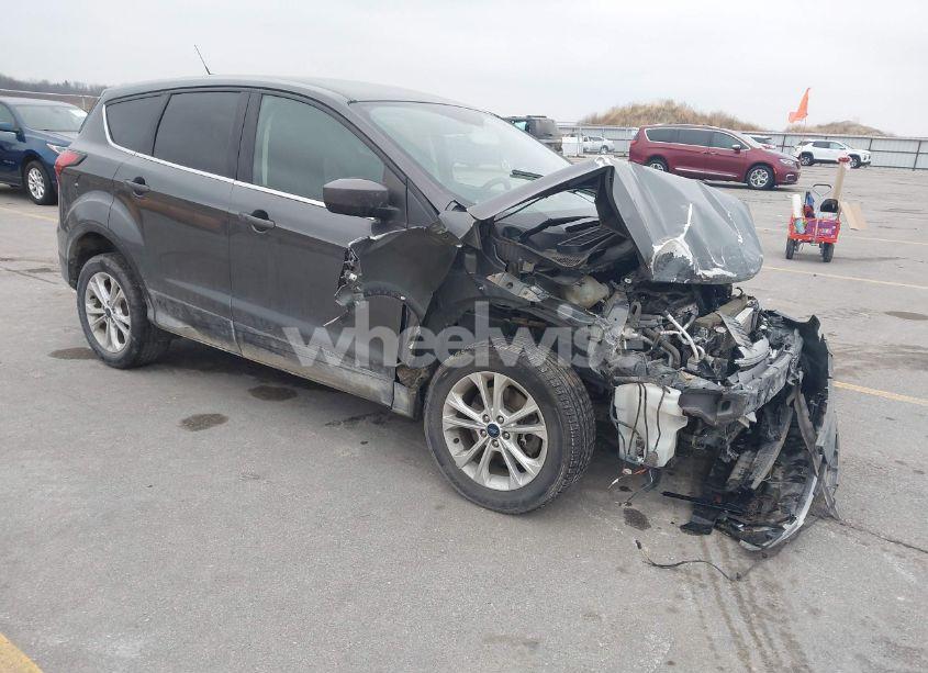 2019 Ford Escape SE (VIN 1FMCU9GD9KUC53338) main photo