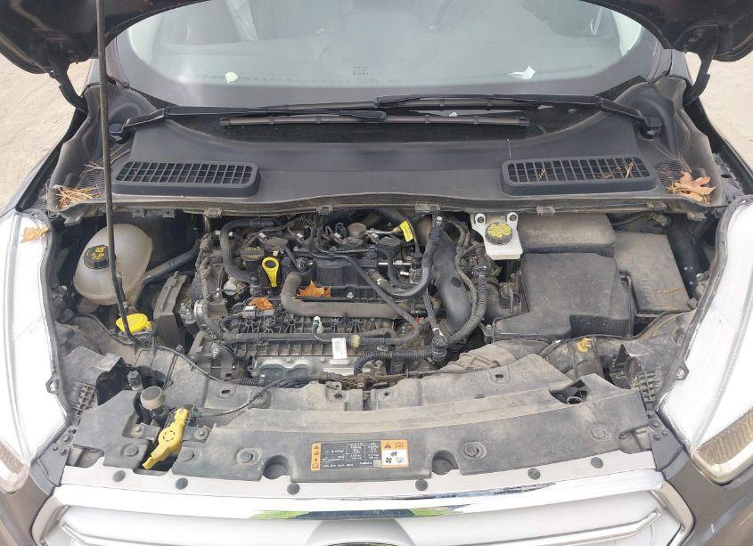 Photo 10 of 2019 Ford Escape SE (VIN 1FMCU9GD9KUC53498)