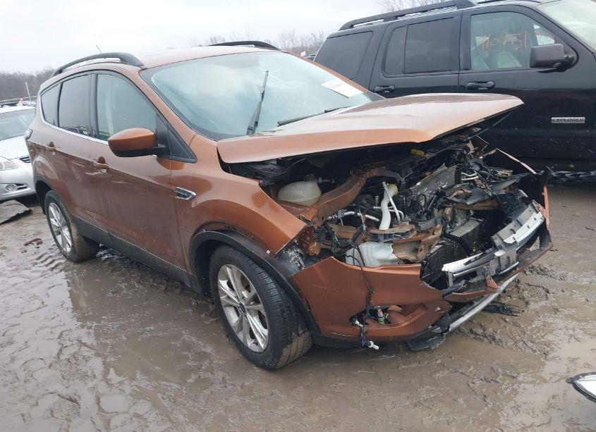 2017 Ford Escape SE (VIN 1FMCU9GDXHUC75356) main photo