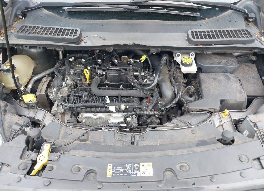 Photo 10 of 2018 Ford Escape SE (VIN 1FMCU9GDXJUA82968)