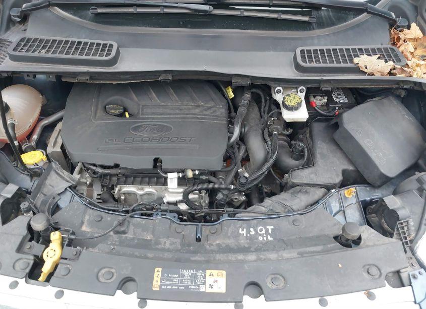 Photo 10 of 2018 Ford Escape SE (VIN 1FMCU9GDXJUA95509)