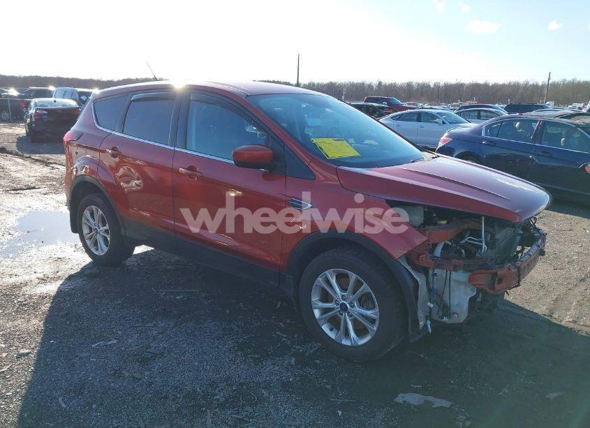 2019 Ford Escape SE (VIN 1FMCU9GDXKUA01324) main photo
