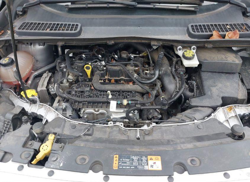 Photo 10 of 2019 Ford Escape SE (VIN 1FMCU9GDXKUA09133)