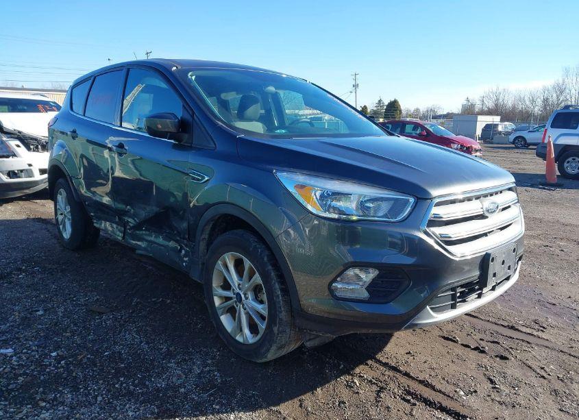 2019 Ford Escape SE (VIN 1FMCU9GDXKUA15191) main photo