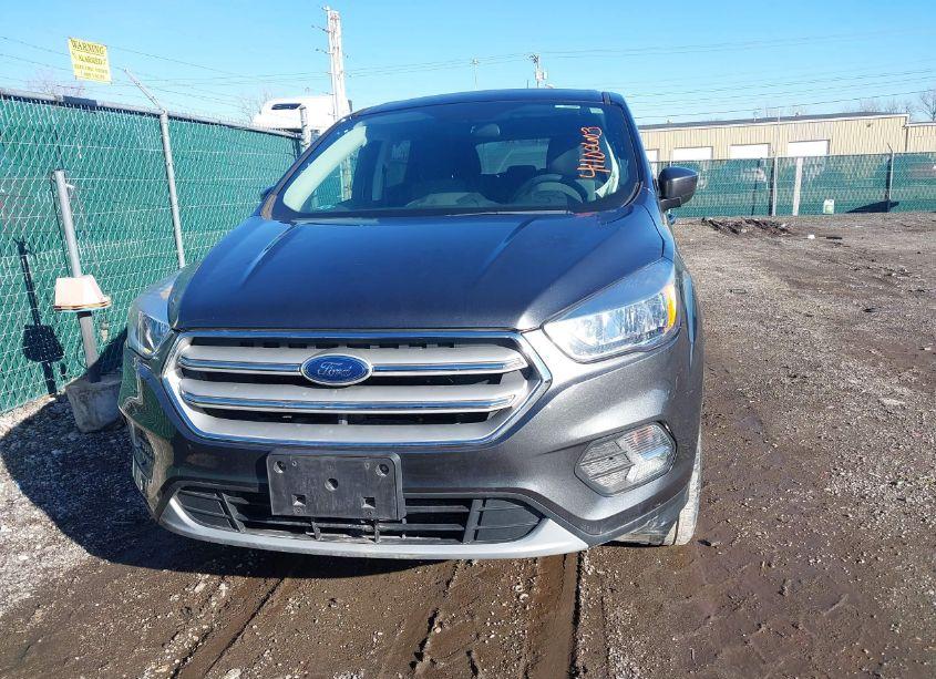 Photo 11 of 2019 Ford Escape SE (VIN 1FMCU9GDXKUA15191)