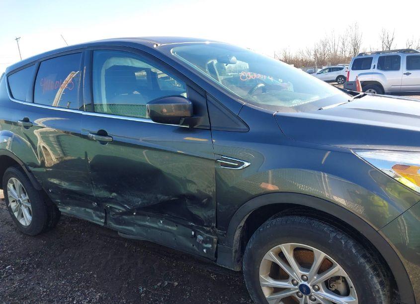 Photo 12 of 2019 Ford Escape SE (VIN 1FMCU9GDXKUA15191)