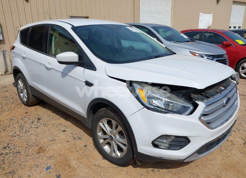 2019 Ford Escape SE (VIN 1FMCU9GDXKUA29656) main photo