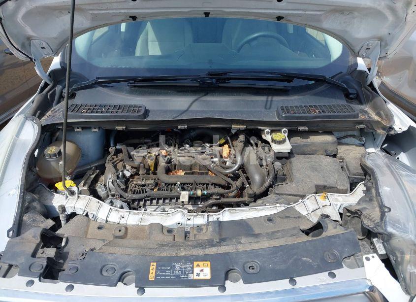 Photo 10 of 2019 Ford Escape SE (VIN 1FMCU9GDXKUA29656)