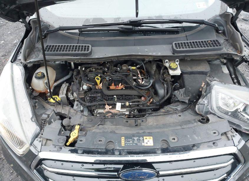 Photo 10 of 2019 Ford Escape SE (VIN 1FMCU9GDXKUA48269)