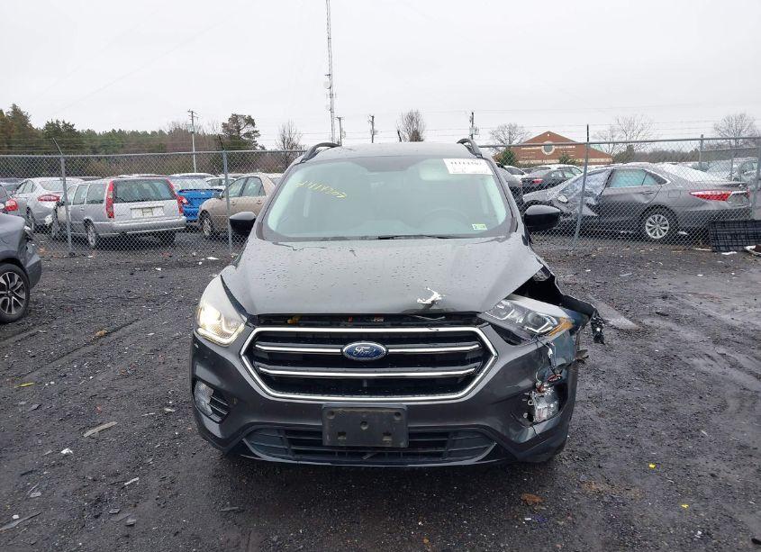 Photo 12 of 2019 Ford Escape SE (VIN 1FMCU9GDXKUA48269)