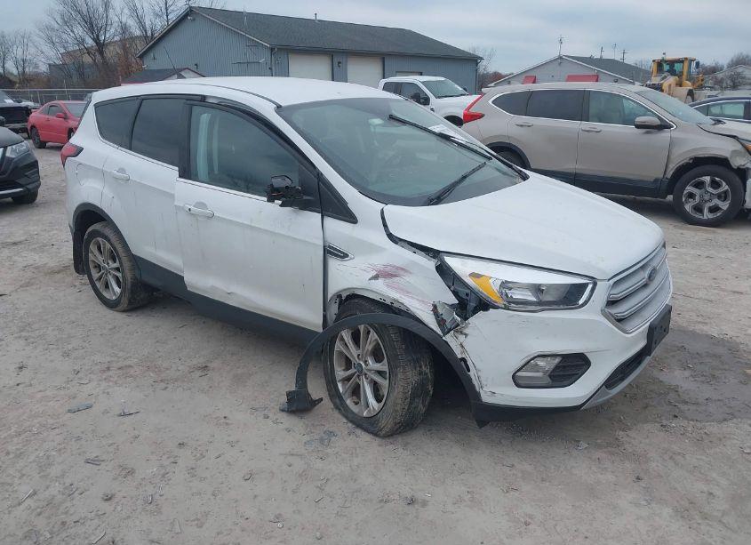 2019 Ford Escape SE (VIN 1FMCU9GDXKUA84639) main photo