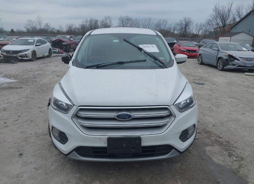 Photo 12 of 2019 Ford Escape SE (VIN 1FMCU9GDXKUA84639)
