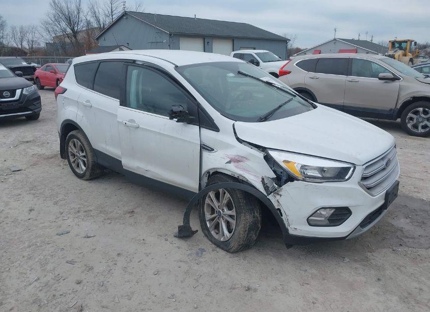 Photo 13 of 2019 Ford Escape SE (VIN 1FMCU9GDXKUA84639)