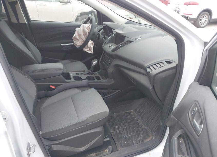 Photo 5 of 2019 Ford Escape SE (VIN 1FMCU9GDXKUA84639)