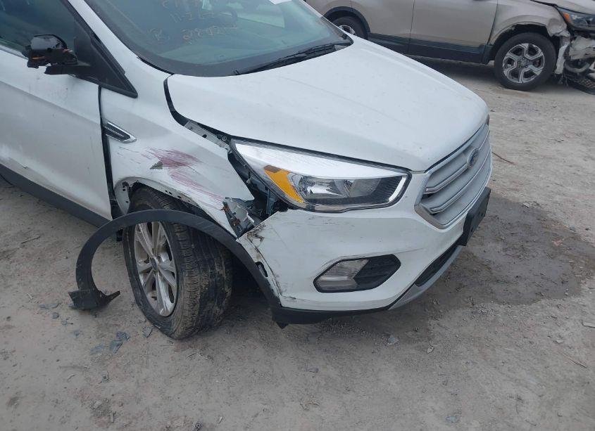 Photo 6 of 2019 Ford Escape SE (VIN 1FMCU9GDXKUA84639)