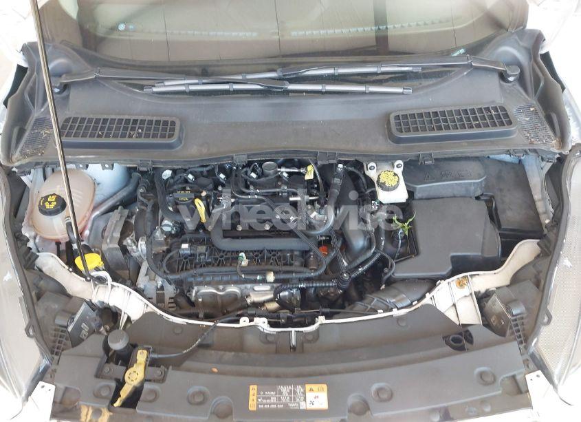 Photo 10 of 2019 Ford Escape SE (VIN 1FMCU9GDXKUB63437)