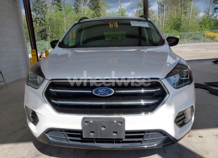 Photo 13 of 2019 Ford Escape SE (VIN 1FMCU9GDXKUB63437)