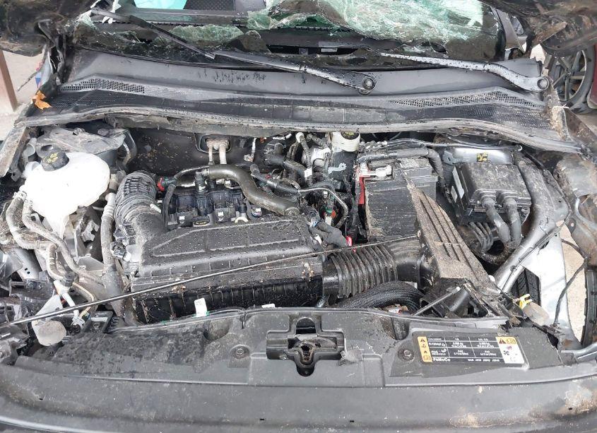 Photo 10 of 2024 Ford Escape ACTIVE (VIN 1FMCU9GN1RUA24767)