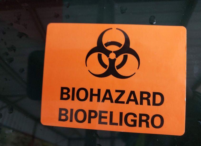 Photo 8 of 2024 Ford Escape ACTIVE (VIN 1FMCU9GN1RUA24767)