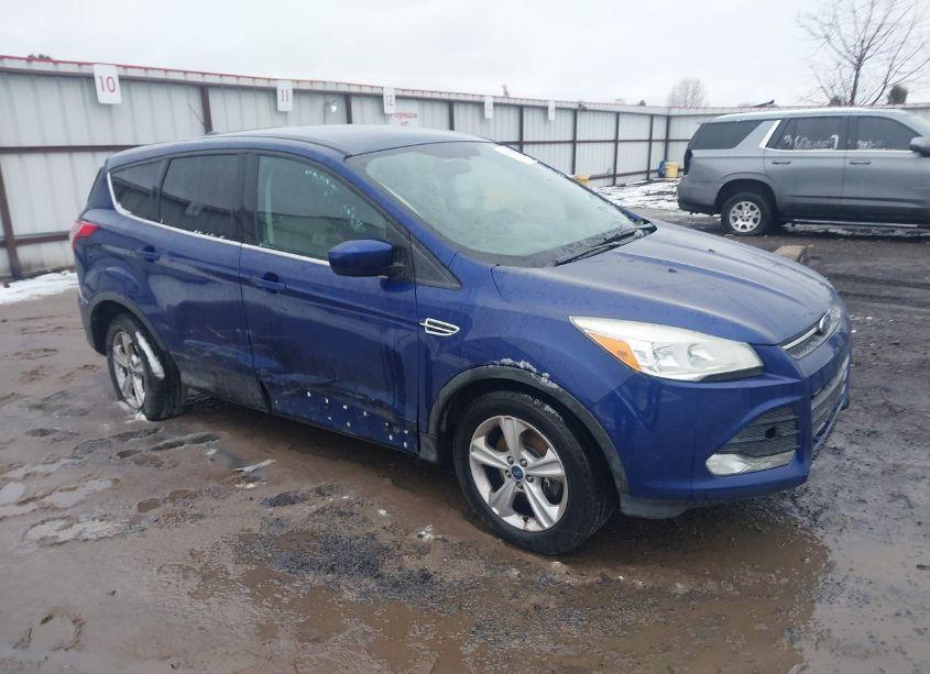 2014 Ford Escape SE (VIN 1FMCU9GX0EUB49044) main photo