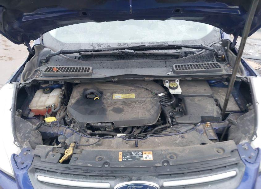 Photo 10 of 2014 Ford Escape SE (VIN 1FMCU9GX0EUB49044)