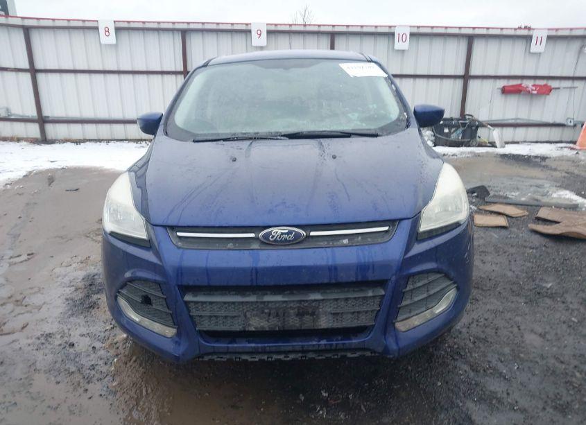 Photo 13 of 2014 Ford Escape SE (VIN 1FMCU9GX0EUB49044)