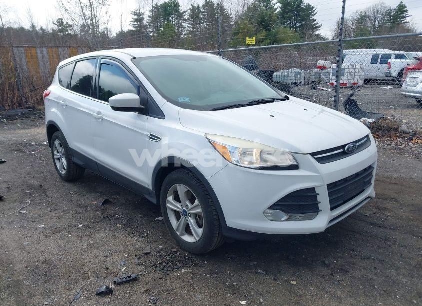 2014 Ford Escape SE (VIN 1FMCU9GX0EUC01398) main photo