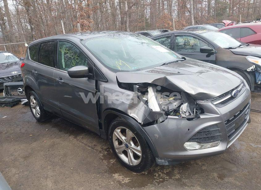 2014 Ford Escape SE (VIN 1FMCU9GX0EUC33736) main photo