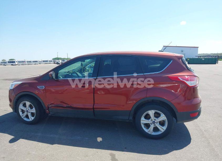 Photo 13 of 2014 Ford Escape SE (VIN 1FMCU9GX0EUC38743)