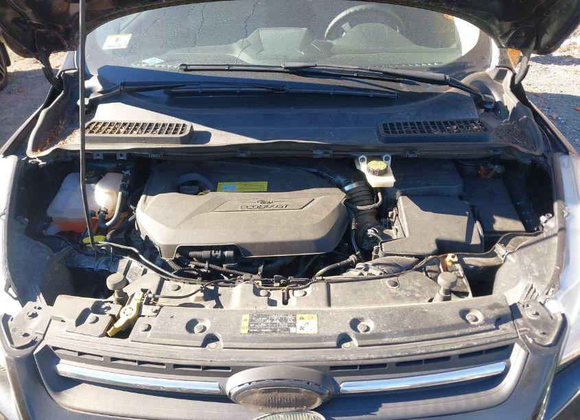 Photo 10 of 2014 Ford Escape SE (VIN 1FMCU9GX0EUC56255)