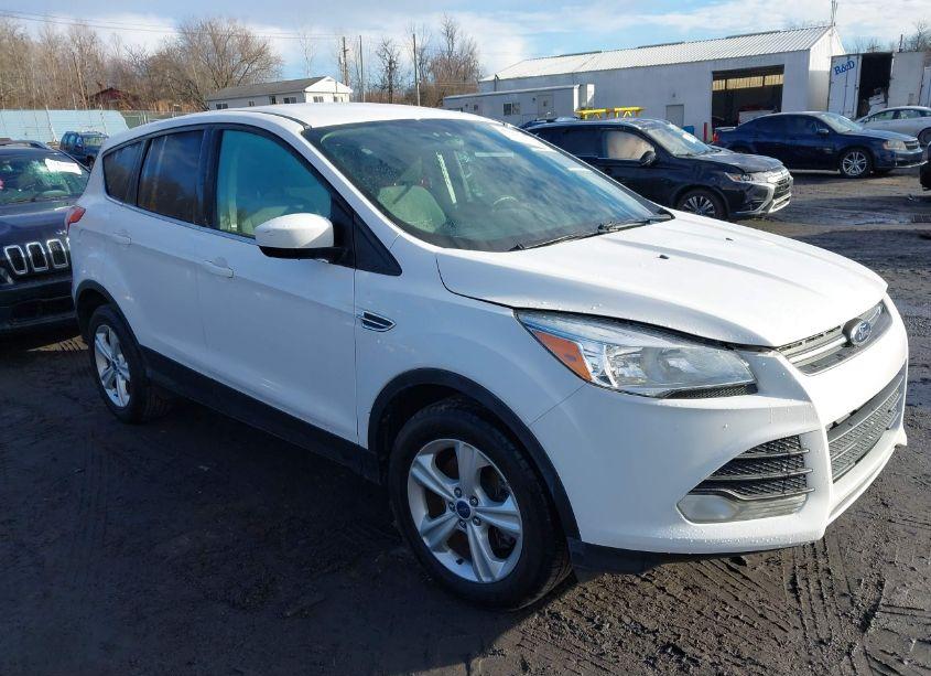 2014 Ford Escape SE (VIN 1FMCU9GX0EUD30337) main photo