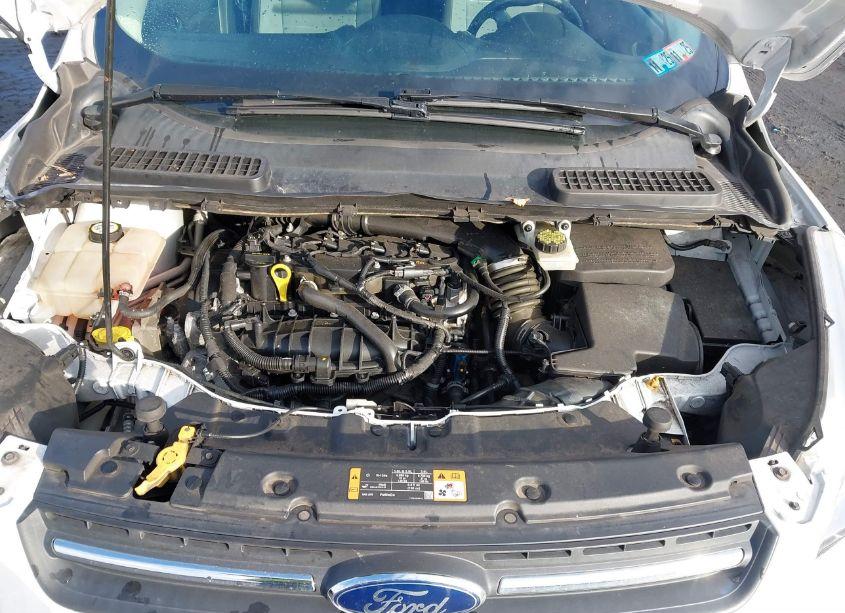 Photo 10 of 2014 Ford Escape SE (VIN 1FMCU9GX0EUD30337)