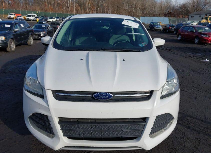 Photo 6 of 2014 Ford Escape SE (VIN 1FMCU9GX0EUD30337)