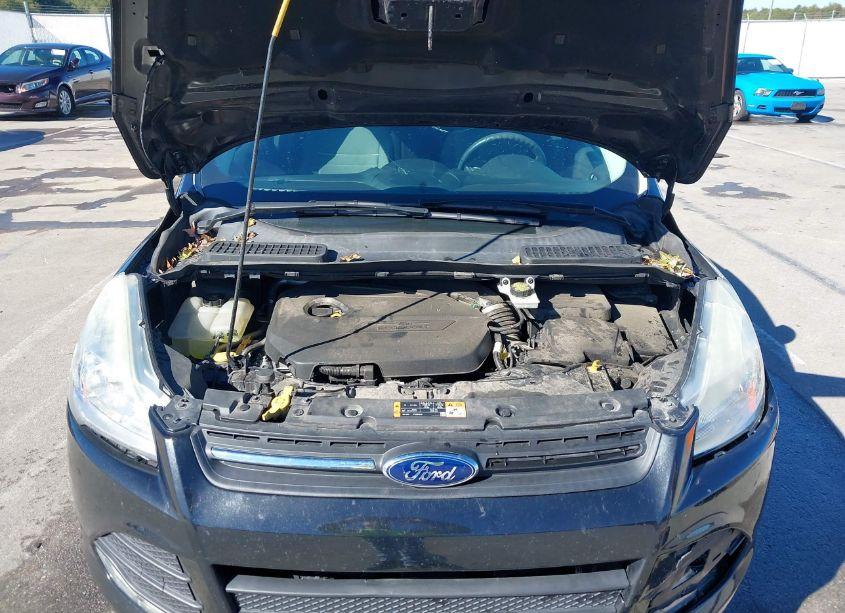 Photo 10 of 2015 Ford Escape SE (VIN 1FMCU9GX0FUA38835)