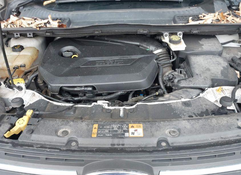 Photo 10 of 2015 Ford Escape SE (VIN 1FMCU9GX0FUA62343)