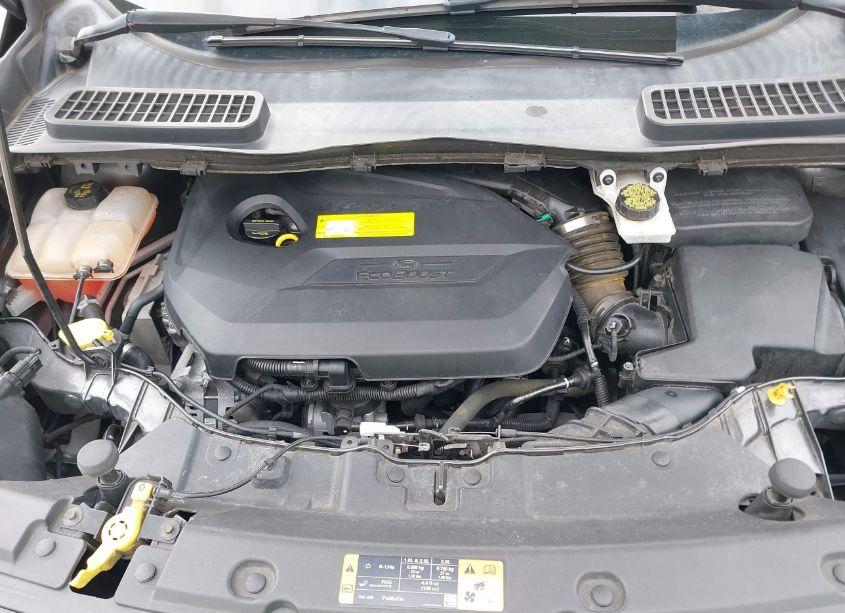 Photo 10 of 2015 Ford Escape SE (VIN 1FMCU9GX0FUB17938)