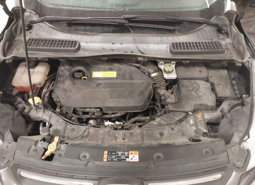 Photo 10 of 2015 Ford Escape SE (VIN 1FMCU9GX0FUC35911)