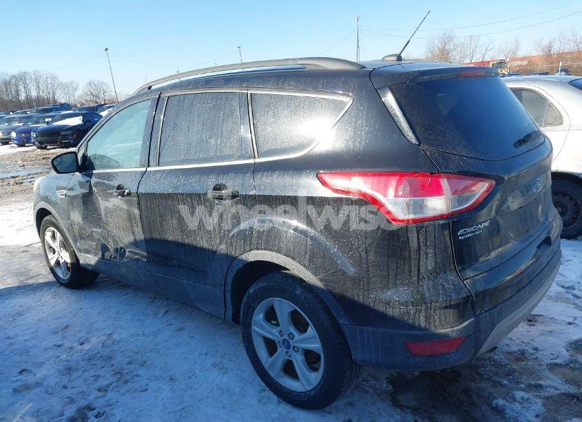 Photo 14 of 2016 Ford Escape SE (VIN 1FMCU9GX0GUA25455)