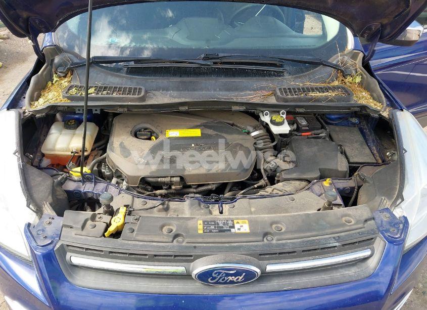 Photo 10 of 2016 Ford Escape SE (VIN 1FMCU9GX0GUB04849)